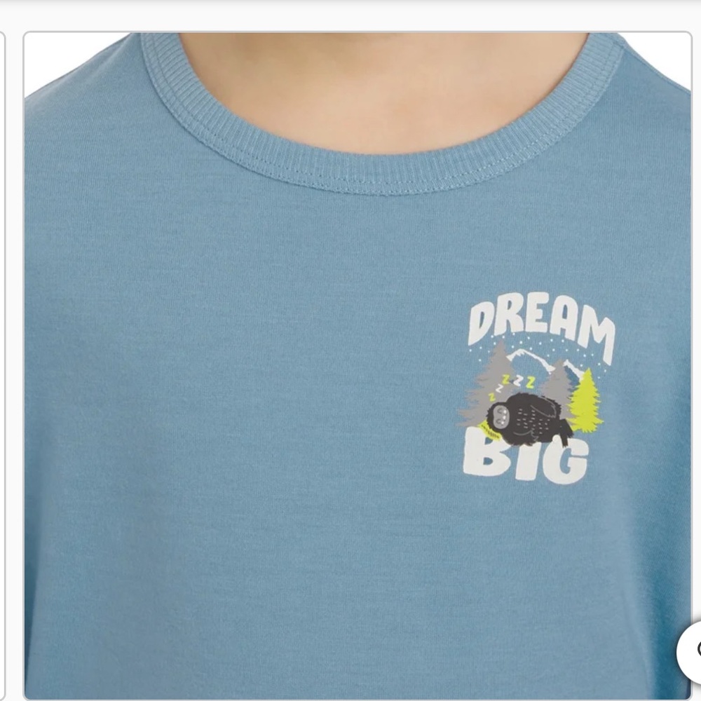 Eddie Bauer Kids Pajama Set - Blue and Gray - Picture 4 of 5